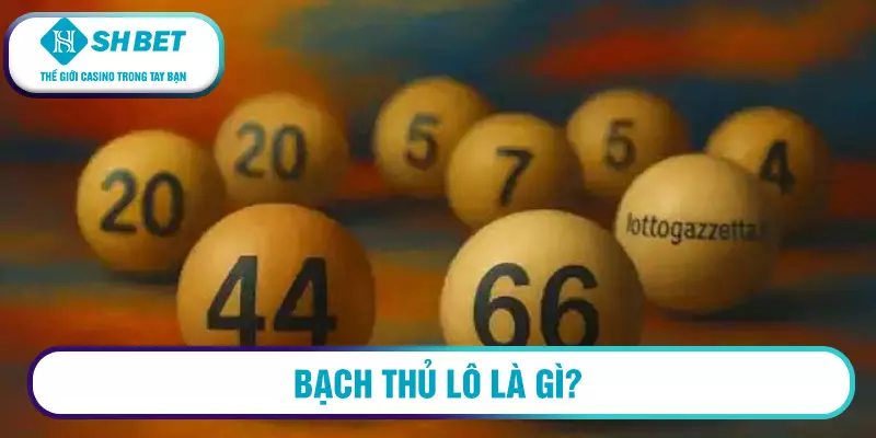Cách nuôi lô bạch thủ khung 3 ngày siêu chuẩn 1 Bạch thủ lô là gì?