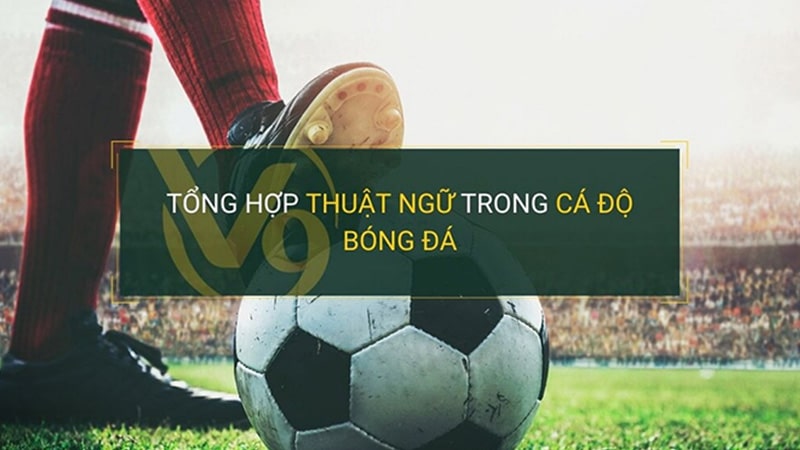 thuat ngu bong da 3 min