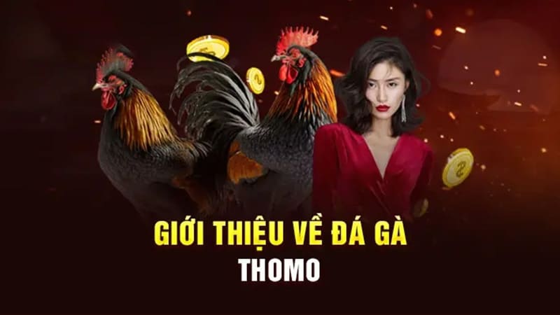 da ga thomo 2