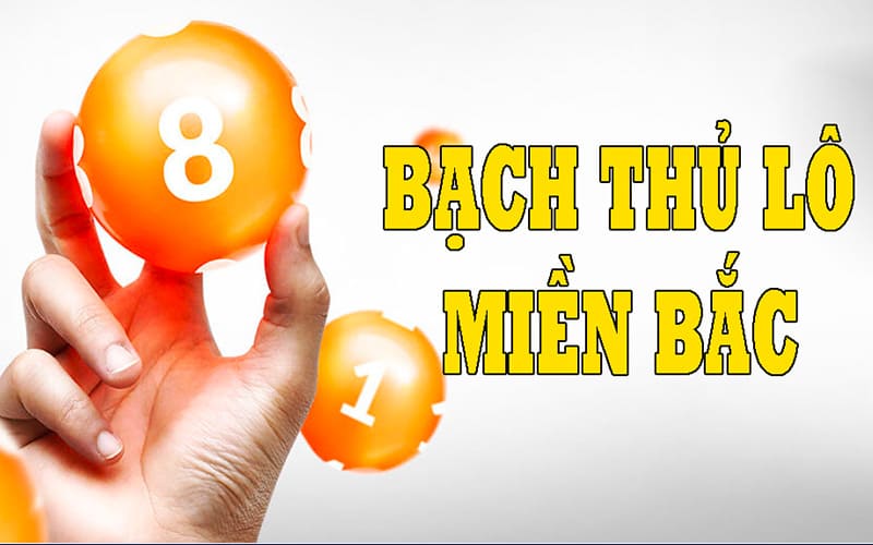 soi cau bach thu mien bac mien phi 3